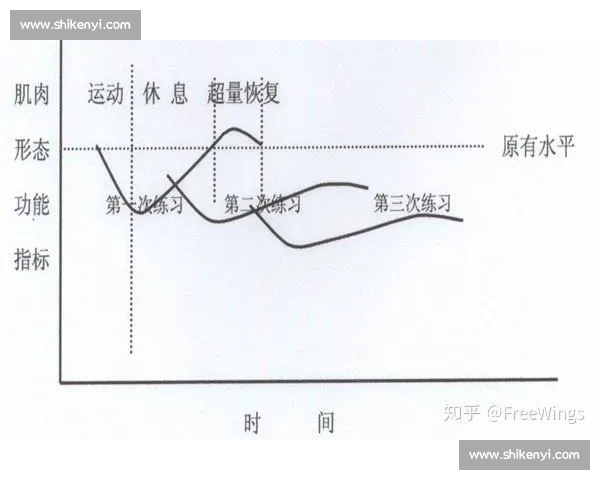 以训练负荷为核心探讨运动适应与恢复优化策略研究